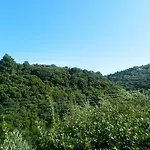 Levante מלון דירות Vasilikí